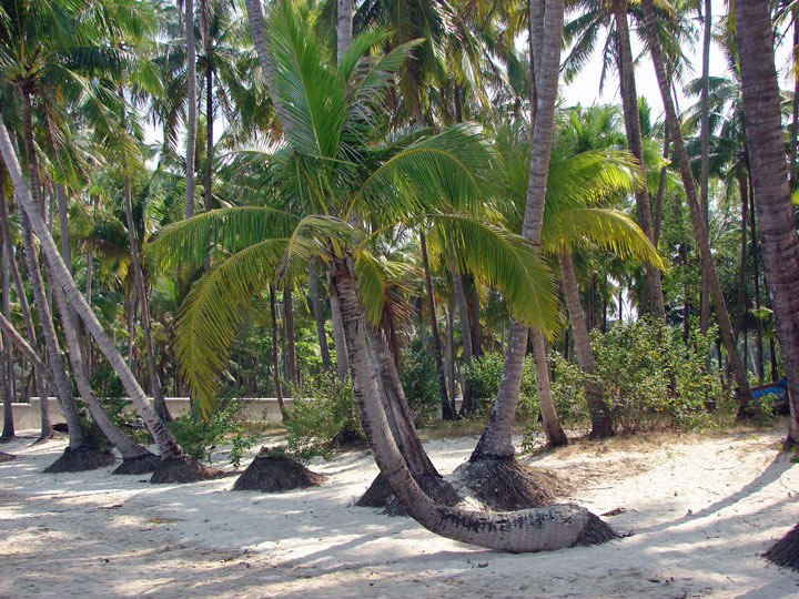 Der Strand von Ngapali