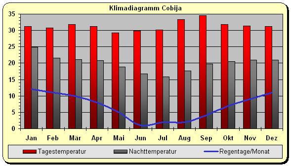 Klimadiagramm Cobija