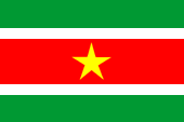 Nationalflagge Surinames